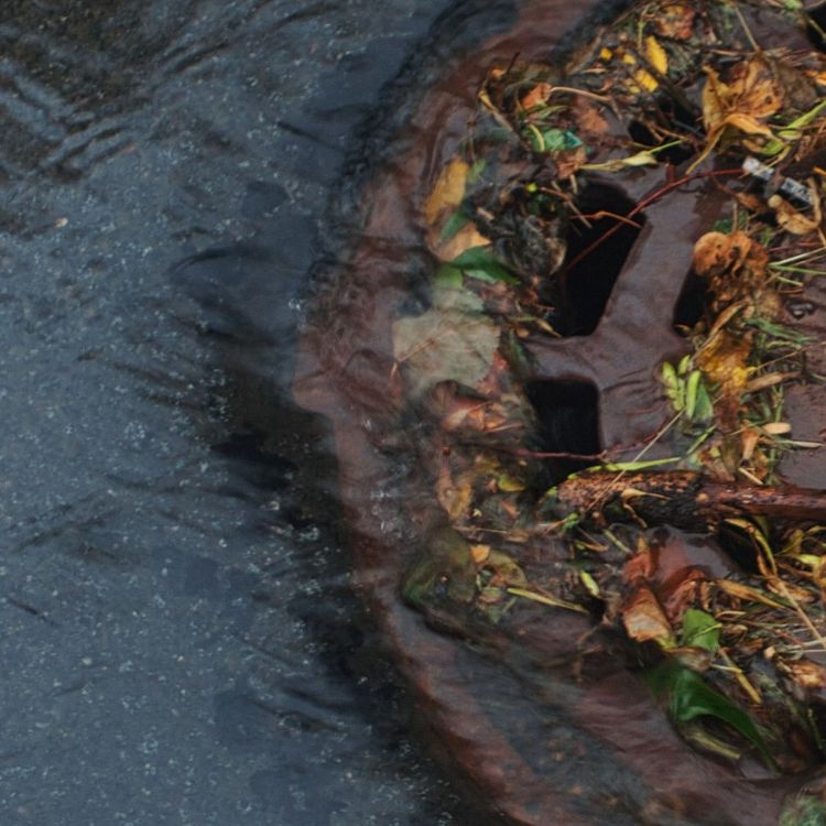 Leaves and debris clogging a drain grate as water runs over it
